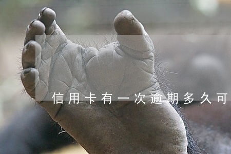 信用卡有一次逾期多久可以消除 信用卡有一次逾期多久可以消除