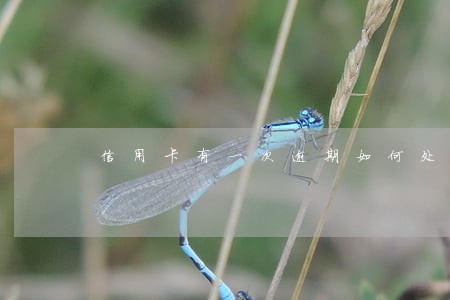 信用卡有一次逾期如何处理光大 信用卡有一次逾期如何处理光大