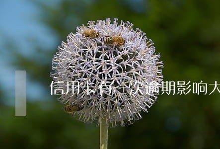 信用卡有一次逾期影响大吗 信用卡有一次逾期影响大吗