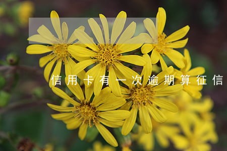 信用卡有一次逾期算征信不良吗 信用卡有一次逾期算征信不良吗