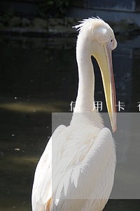 信用卡有一次逾期能办贷款吗