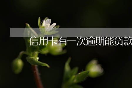 信用卡有一次逾期能贷款吗
