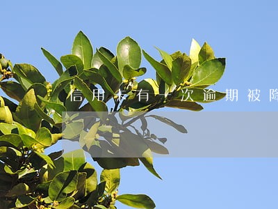 信用卡有一次逾期被降额 信用卡有一次逾期被降额
