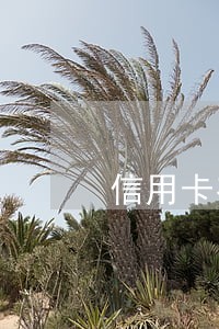 信用卡有一次逾期记录能贷款么 信用卡有一次逾期记录能贷款么