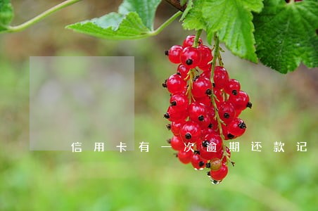 信用卡有一次逾期还款记录吗