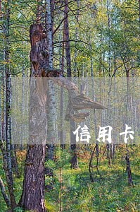 信用卡有一笔逾期 信用卡有一笔逾期