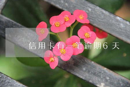 信用卡有一笔逾期6天 信用卡有一笔逾期6天