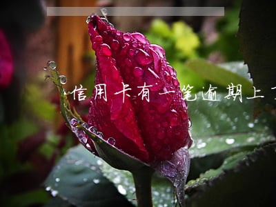 信用卡有一笔逾期上了征信 信用卡有一笔逾期上了征信