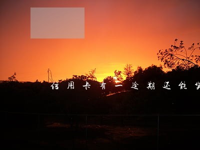 信用卡有一逾期还能贷网捷贷 信用卡有一逾期还能贷网捷贷
