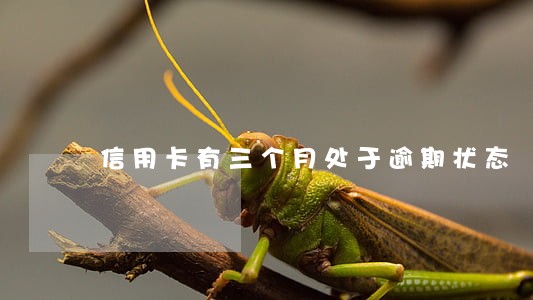 信用卡有三个月处于逾期状态
