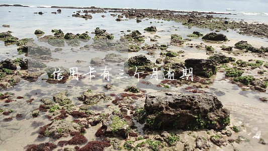 信用卡有三个月逾期 信用卡有三个月逾期