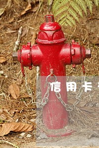 信用卡有三天逾期嘛 信用卡有三天逾期嘛