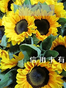 信用卡有三次账单逾期 信用卡有三次账单逾期