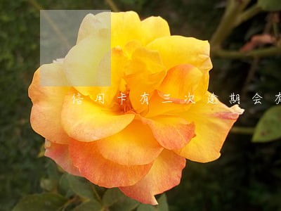 信用卡有三次逾期会有什么后果 信用卡有三次逾期会有什么后果