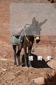 信用卡有三次逾期记录怎么消除