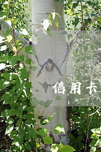 信用卡有两次不是故意的逾期 信用卡有两次不是故意的逾期