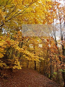 信用卡有严重逾期怎么办 信用卡有严重逾期怎么办
