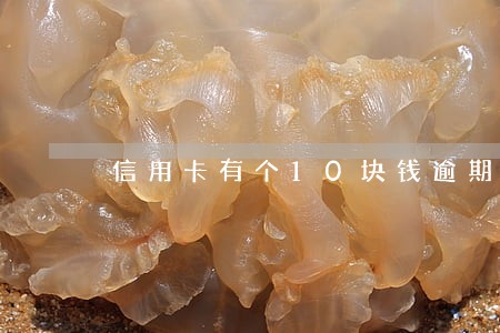 信用卡有个10块钱逾期记录 信用卡有个10块钱逾期记录