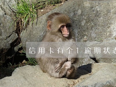 信用卡有个1逾期状态 信用卡有个1逾期状态