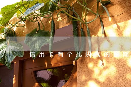 信用卡有个几块钱的逾期怎么办 信用卡有个几块钱的逾期怎么办