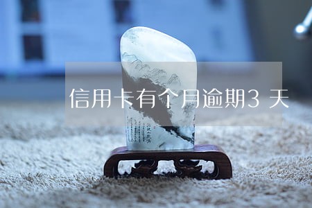信用卡有个月逾期3天 信用卡有个月逾期3天