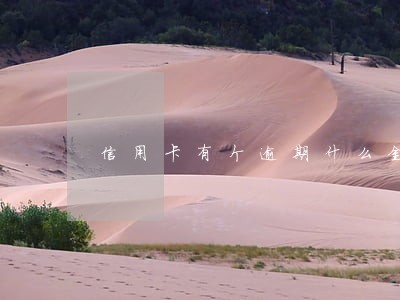 信用卡有个逾期什么金