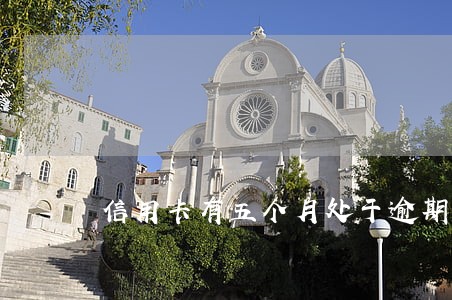 信用卡有五个月处于逾期状态 信用卡有五个月处于逾期状态