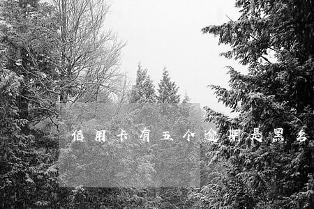 信用卡有五个逾期是黑名单吗 信用卡有五个逾期是黑名单吗