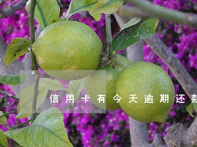 信用卡有今天逾期还款 信用卡有今天逾期还款