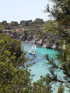 信用卡有内的逾期记录