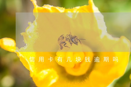 信用卡有几块钱逾期吗 信用卡有几块钱逾期吗