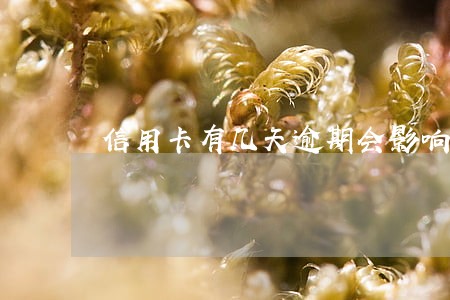 信用卡有几天逾期会影响征信吗