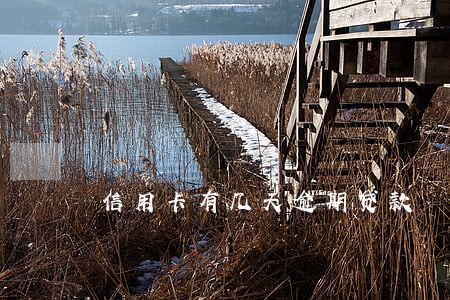 信用卡有几天逾期贷款