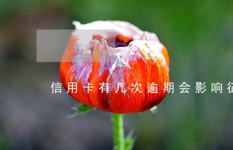 信用卡有几次逾期会影响征信吗 信用卡有几次逾期会影响征信吗