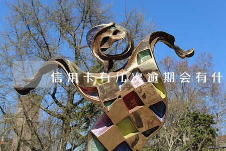 信用卡有几次逾期会有什么影响 信用卡有几次逾期会有什么影响