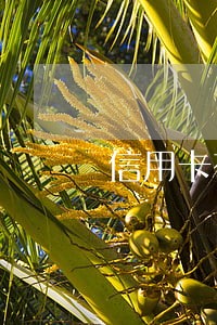 信用卡有几次逾期可以 信用卡有几次逾期可以