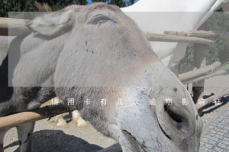 信用卡有几次逾期影响征信吗 信用卡有几次逾期影响征信吗