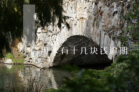 信用卡有十几块钱逾期