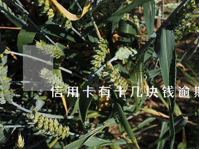 信用卡有十几块钱逾期了怎么办 信用卡有十几块钱逾期了怎么办