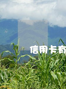 信用卡有十四次逾期怎么才能消除 信用卡有十四次逾期怎么才能消除
