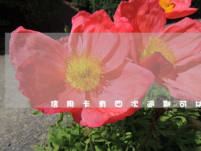 信用卡有四次逾期可以贷款吗