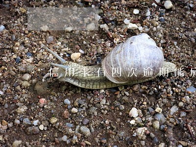 信用卡有四次逾期能房贷吗 信用卡有四次逾期能房贷吗