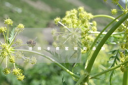 信用卡有套现和逾期 信用卡有套现和逾期