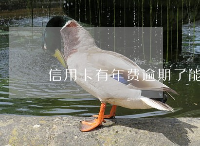 信用卡有年费逾期了能取消吗 信用卡有年费逾期了能取消吗