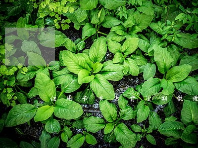 信用卡有当前逾期能做网贷吗 信用卡有当前逾期能做网贷吗