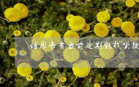 信用卡有当前逾期能找贷款吗