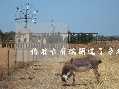 信用卡有效期过了多久算逾期