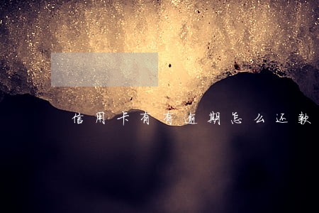 信用卡有有逾期怎么还款 信用卡有有逾期怎么还款