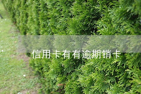 信用卡有有逾期销卡 信用卡有有逾期销卡