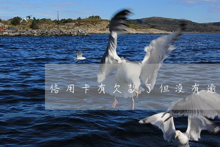 信用卡有欠款了但没有逾期